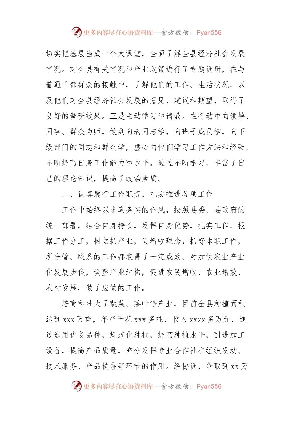 挂职副县长工作总结.docx_第2页