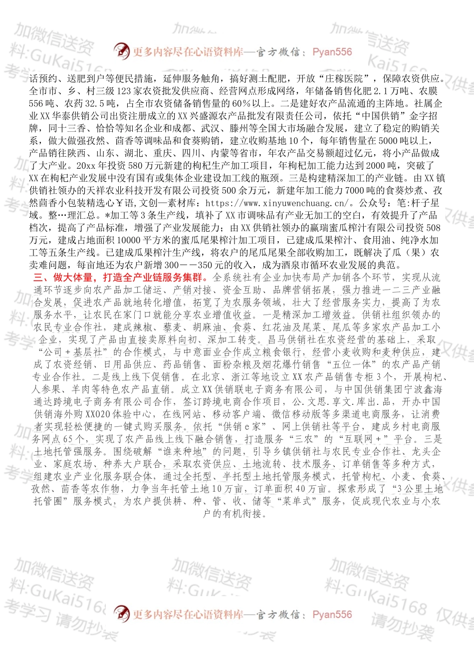 强服务做大体量，聚合力抱团发展——XX市积极探索供销集团化发展模式.docx_第2页