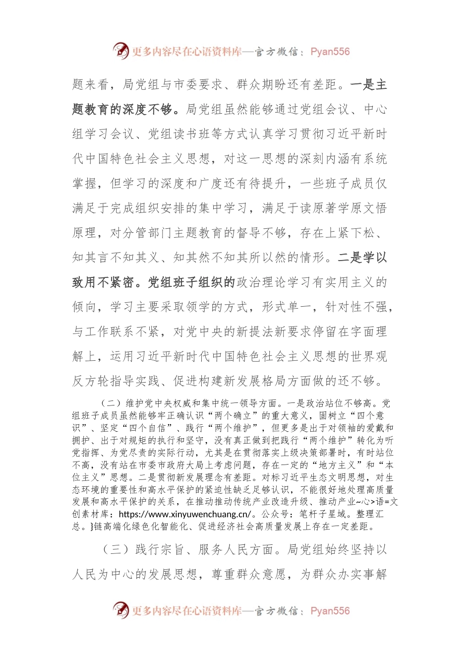 市局领导班子2023年专题民主生活会对照检查材料.docx_第2页