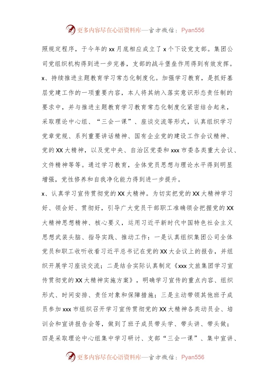 文旅集团党委书记XX年上半年党建工作报告.docx_第2页