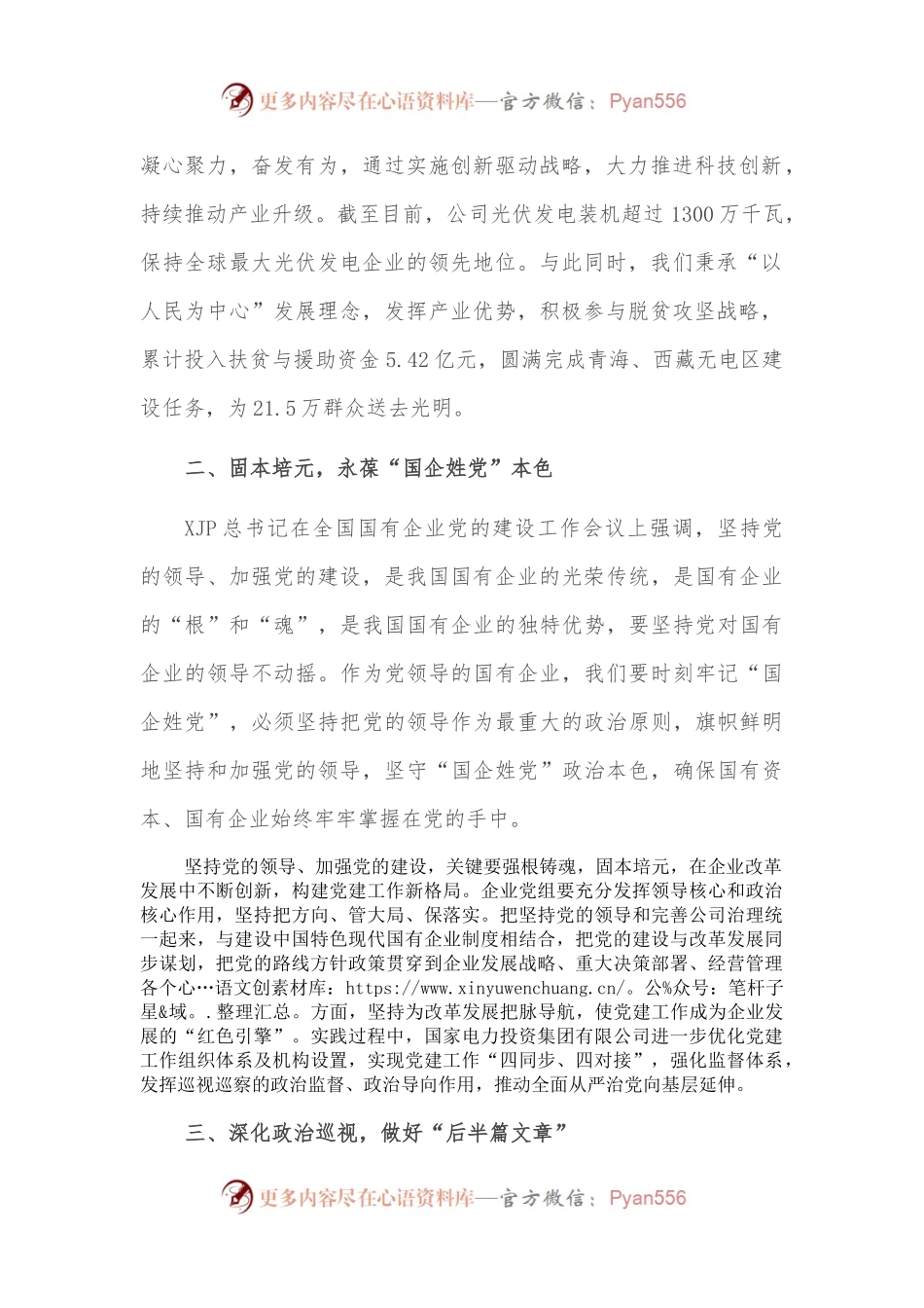 推动全面从严治党在国企落实落地——国家电力党委书记在全市“全面从严治党”研讨会上交流发言.docx_第2页