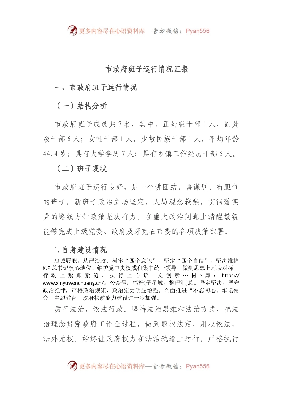 市政府班子运行情况汇报.docx_第1页