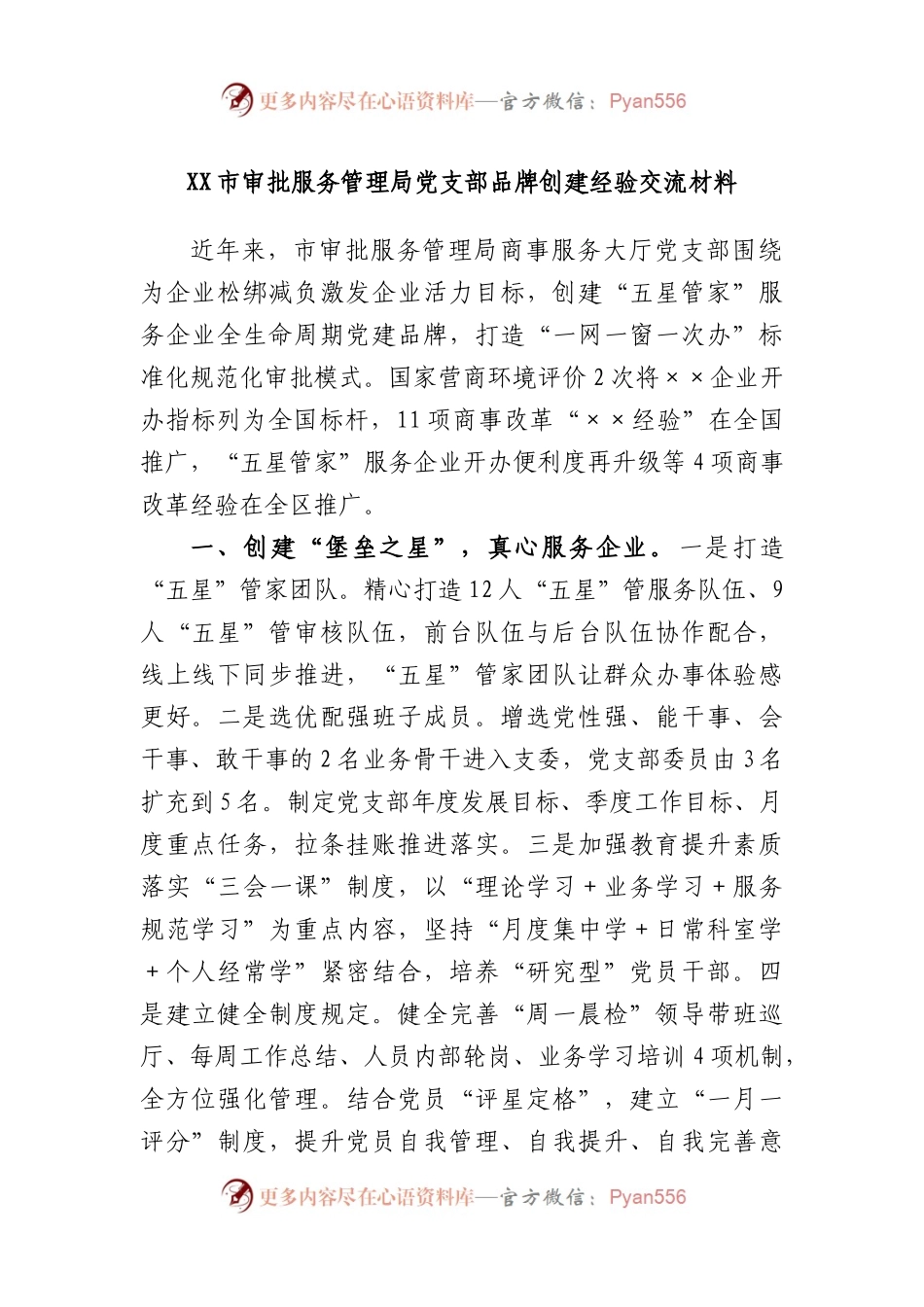市审批服务管理局党支部品牌创建经验交流材料.docx_第1页