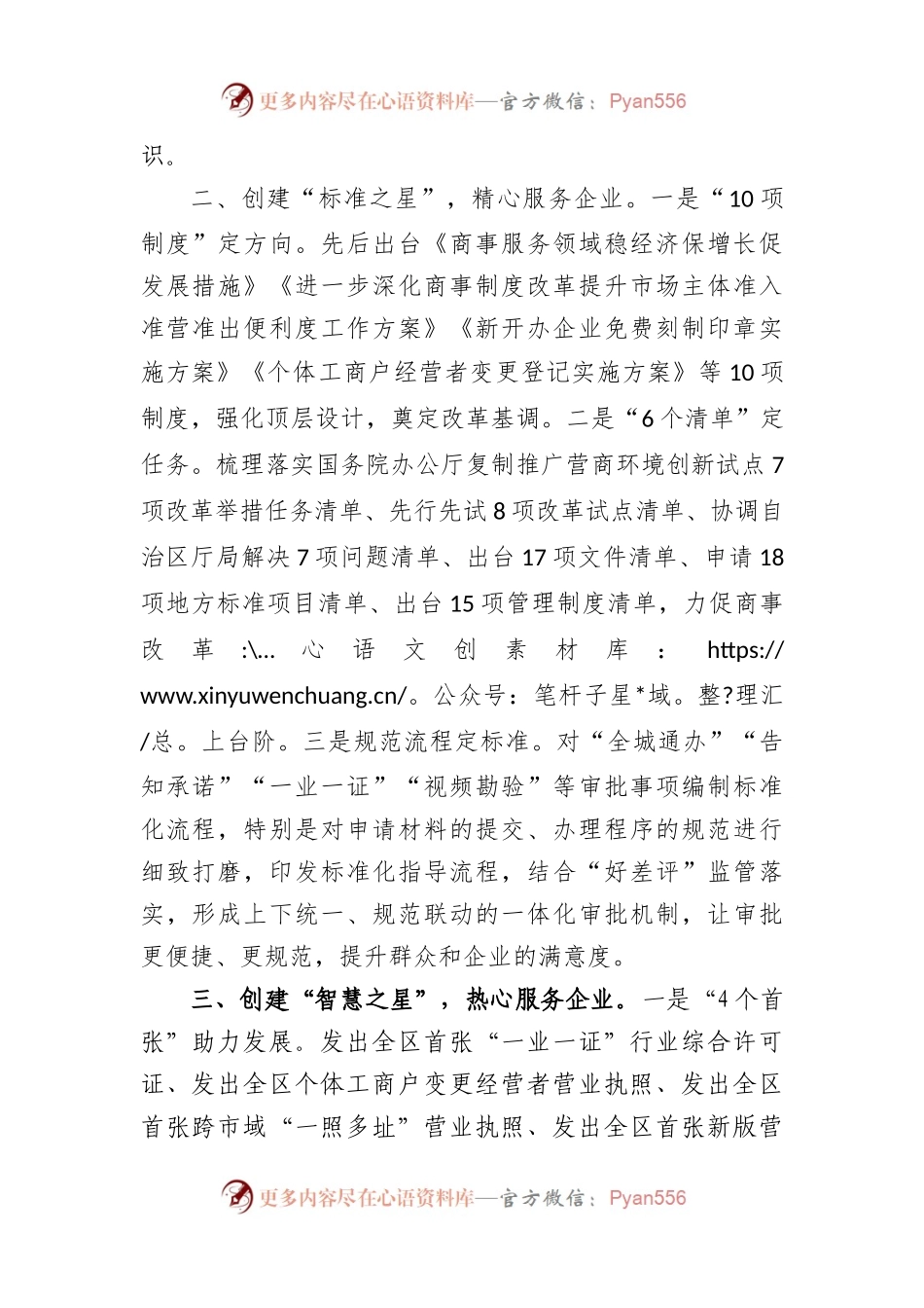 市审批服务管理局党支部品牌创建经验交流材料.docx_第2页