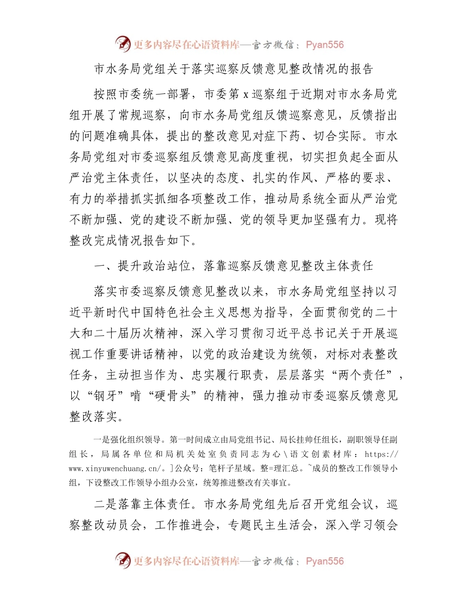 市水务局系统落实巡察反馈意见整改情况的报告（2000字总结）.docx_第1页