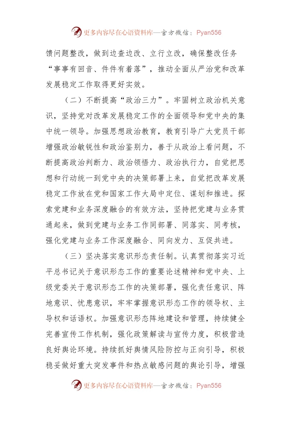 市局党组2024年一季度落实全面从严治党主体责任工作总结.docx_第2页