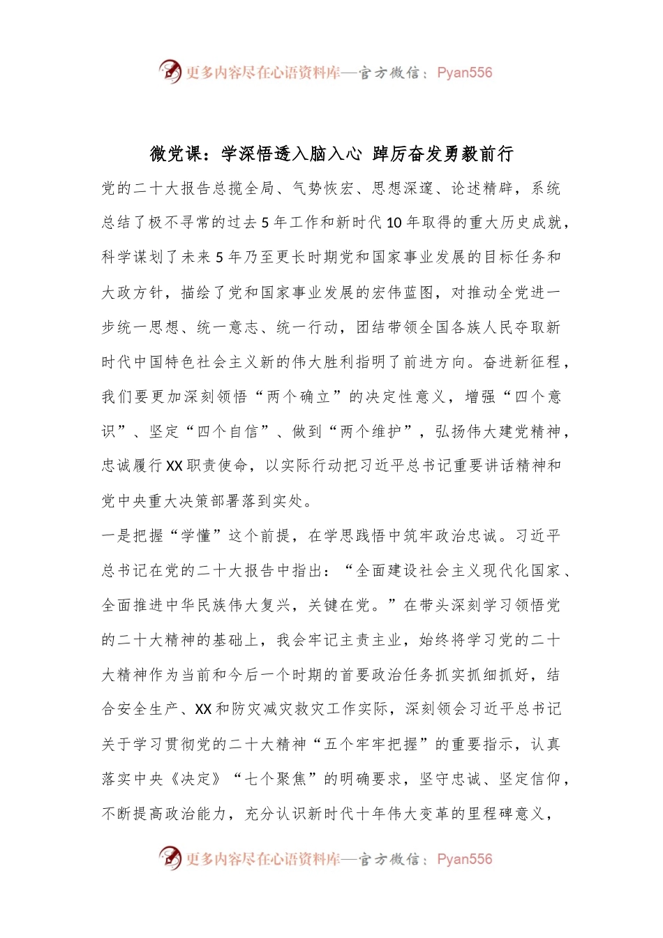 微党课：学深悟透入脑入心 踔厉奋发勇毅前行.docx_第1页