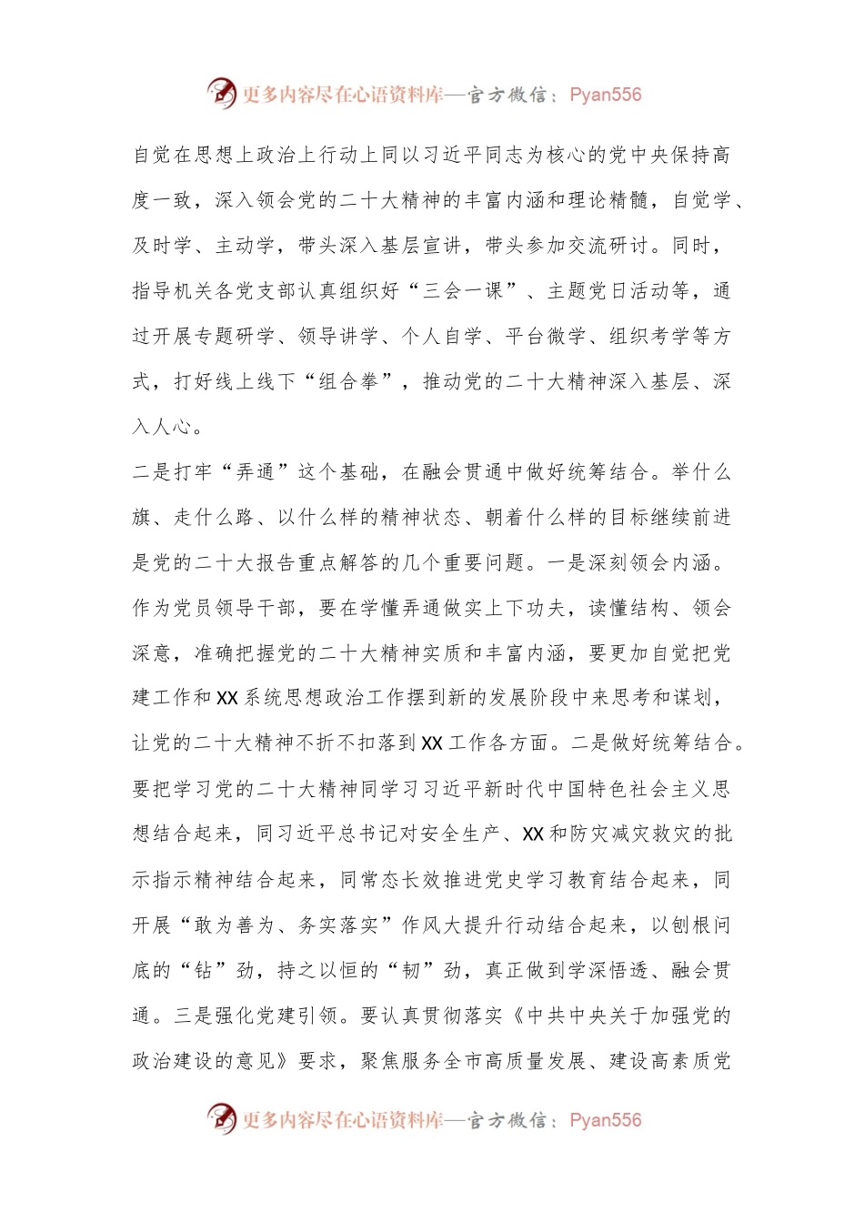 微党课：学深悟透入脑入心 踔厉奋发勇毅前行.docx_第2页
