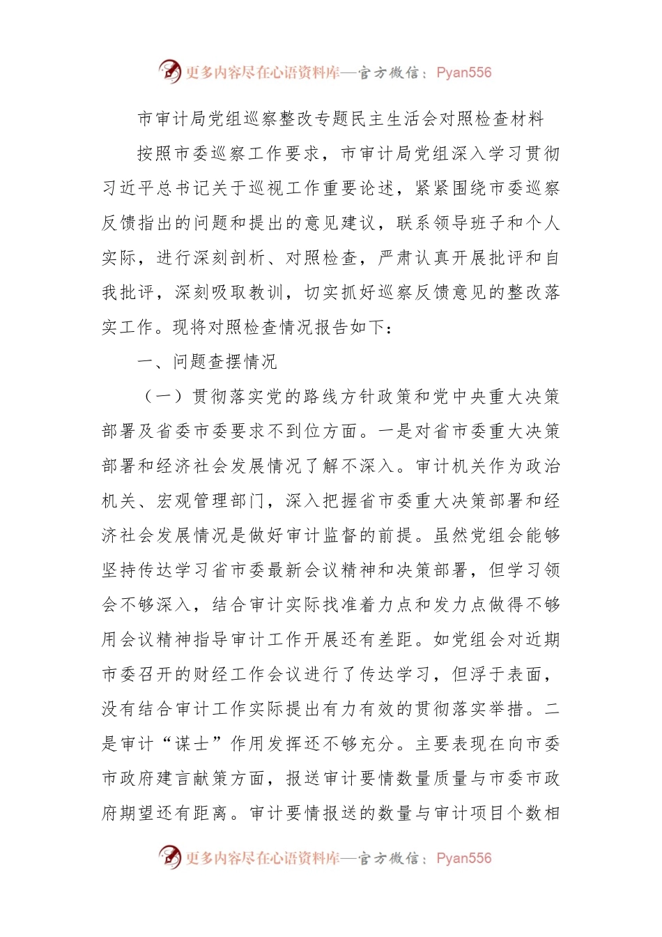 市审计局党组巡察整改专题民主生活会对照检查材料.docx_第1页