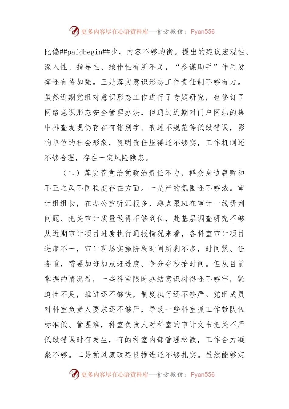 市审计局党组巡察整改专题民主生活会对照检查材料.docx_第2页