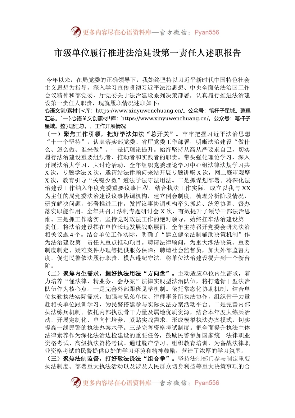 市级单位履行推进法治建设第一责任人述职报告.docx_第1页