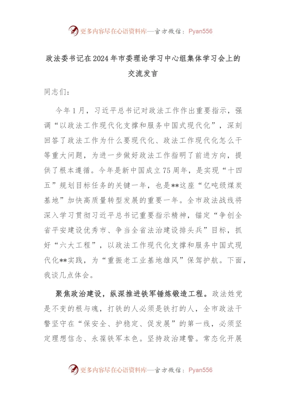 政法委书记在2024年市委理论学习中心组集体学习会上的交流发言.docx_第1页