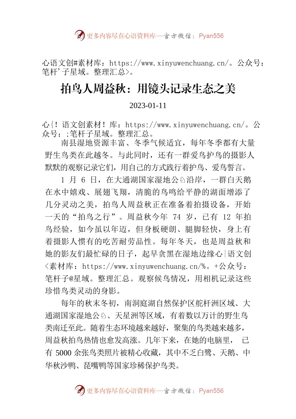 拍鸟人周益秋：用镜头记录生态之美.docx_第1页