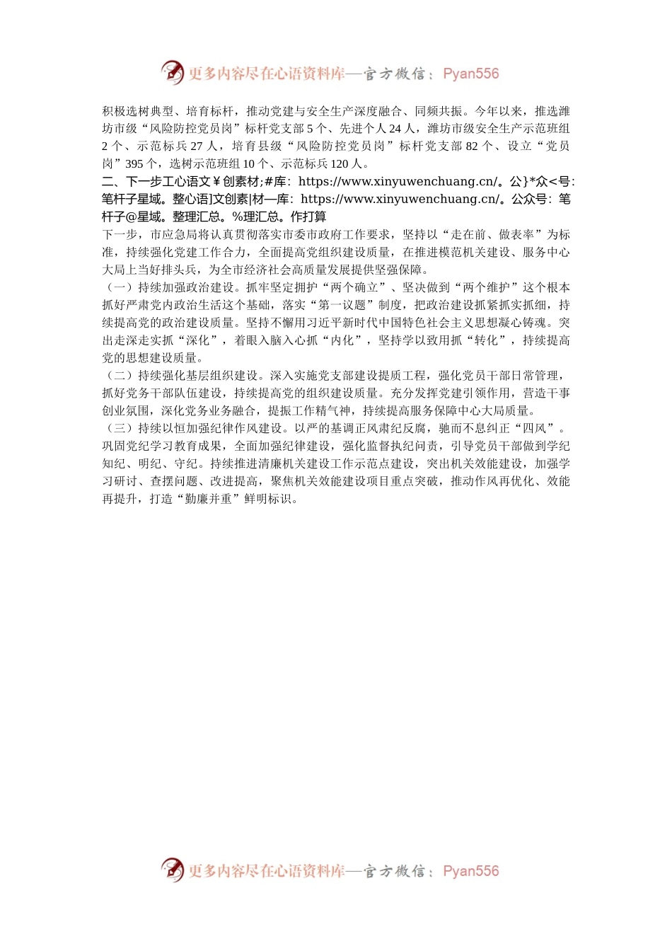 市应急局党组2024年推进全面从严治党工作总结.docx_第2页