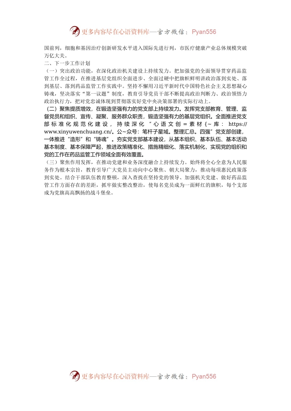 市药监局党组书记2024年落实全面从严治党“一岗双责”述职工作报告.docx_第2页