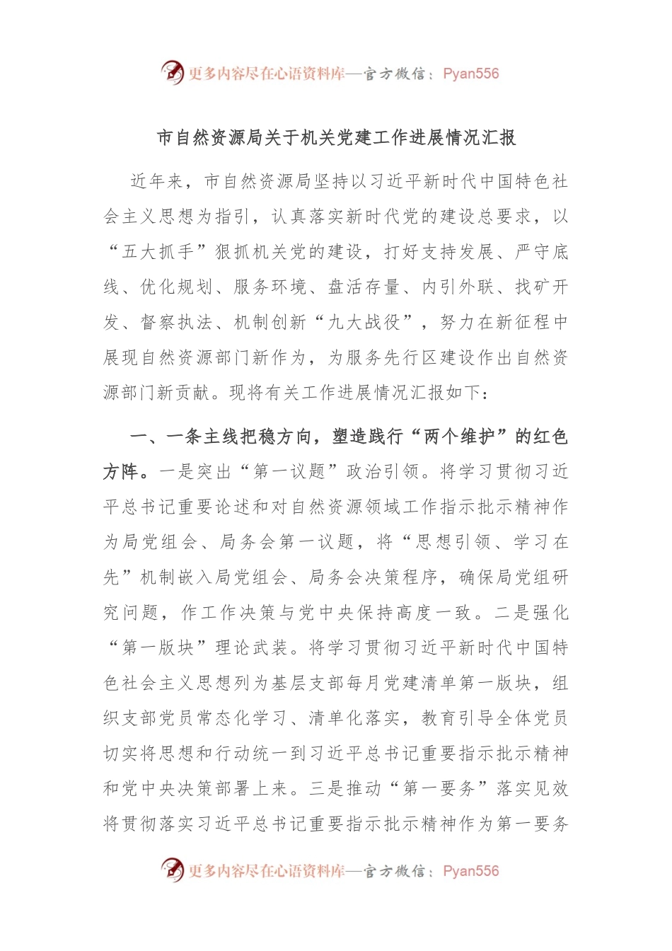 市自然资源局关于机关党建工作进展情况汇报.docx_第1页