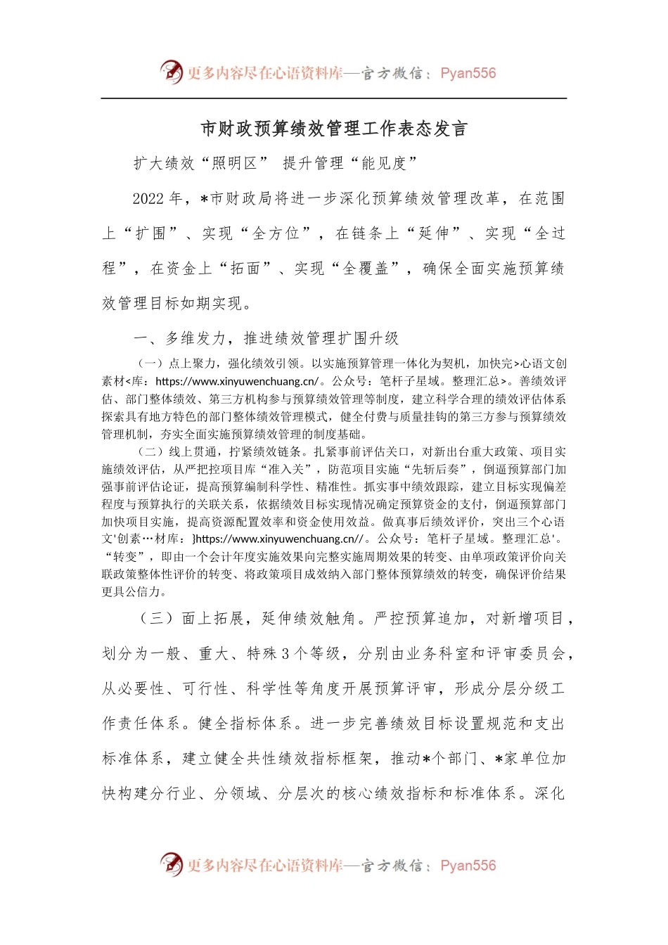 市财政预算绩效管理工作表态发言.docx_第1页