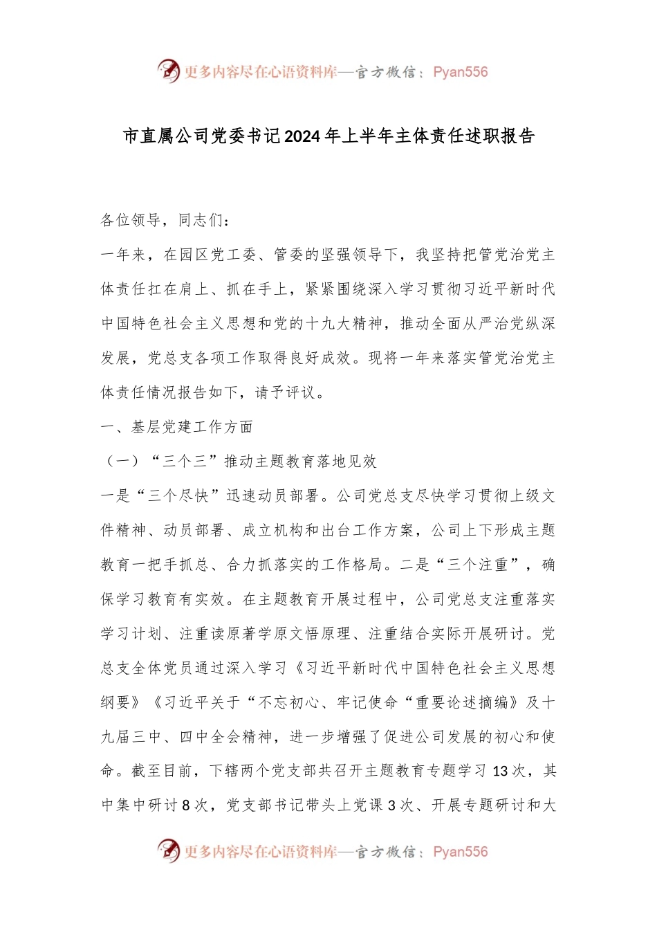 市直属公司党委书记2024年上半年主体责任述职报告.docx_第1页