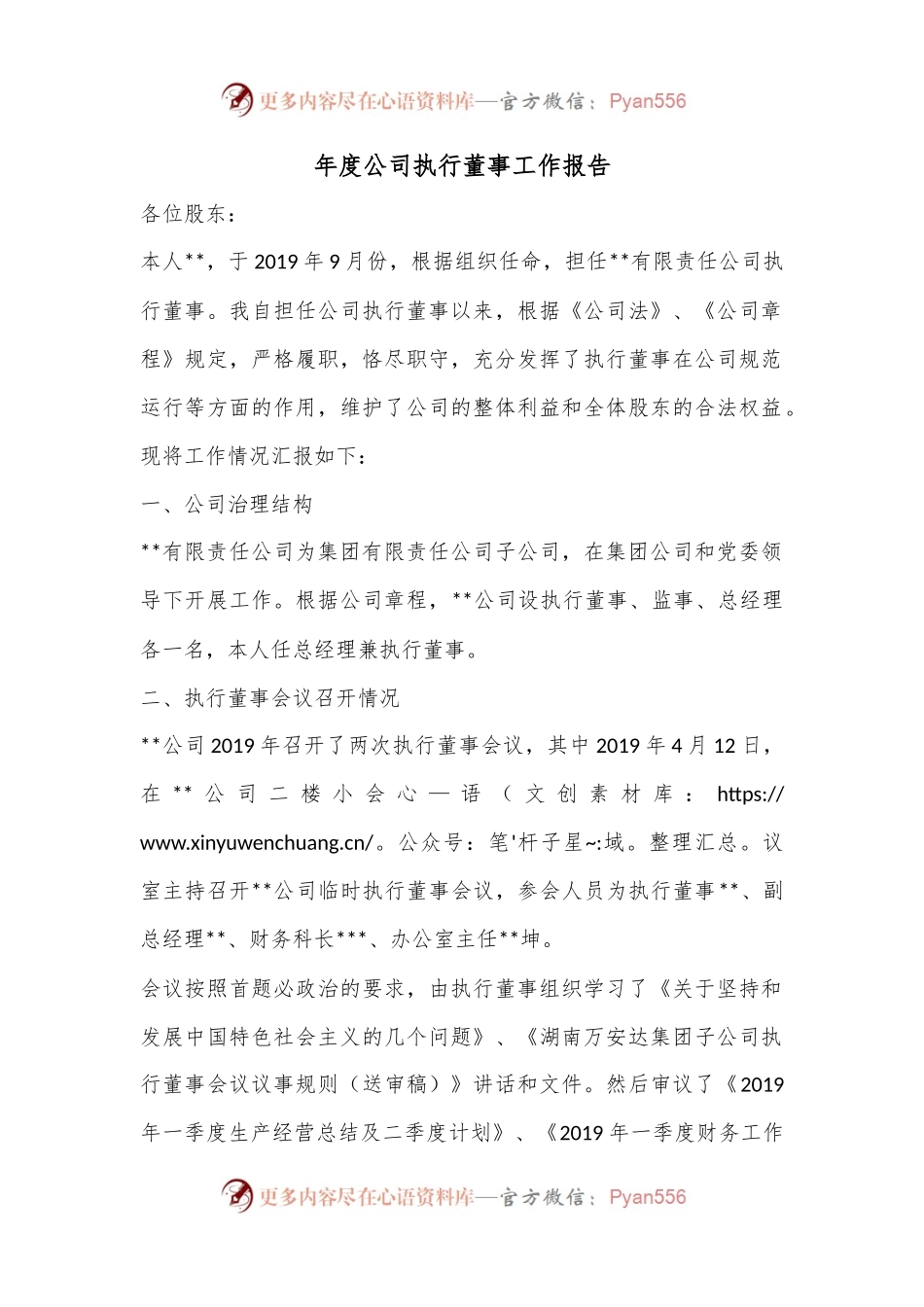年度公司执行董事工作报告.docx_第1页
