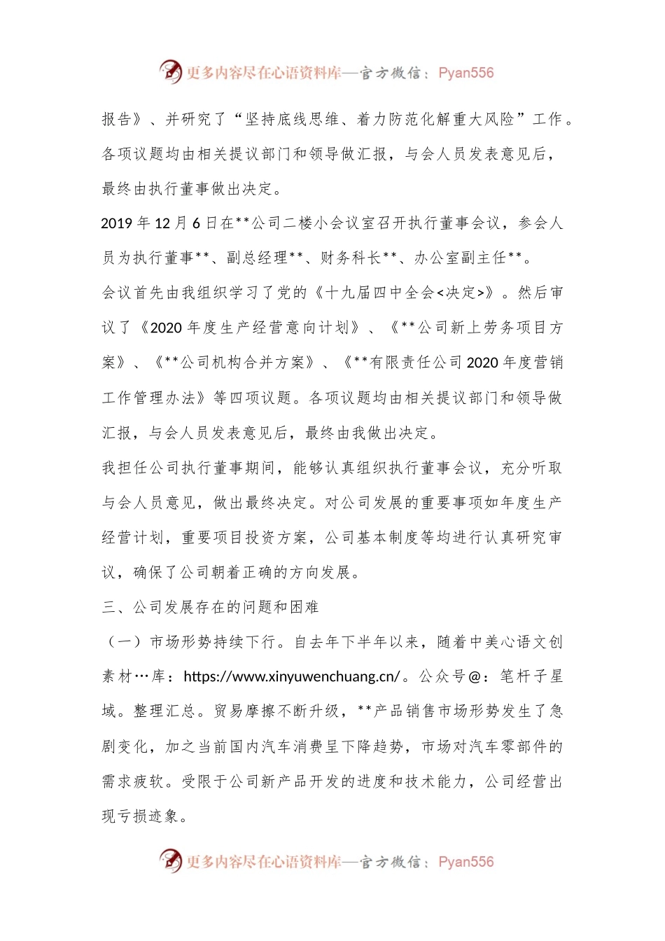 年度公司执行董事工作报告.docx_第2页