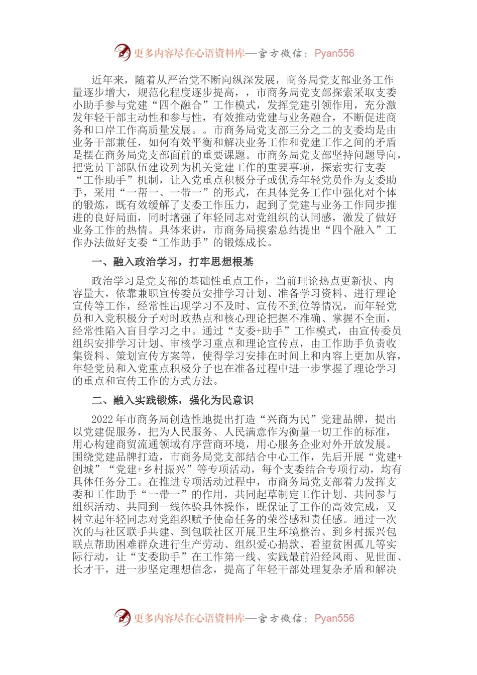 市商务局党支部品牌创建工作汇报材料.docx_第1页