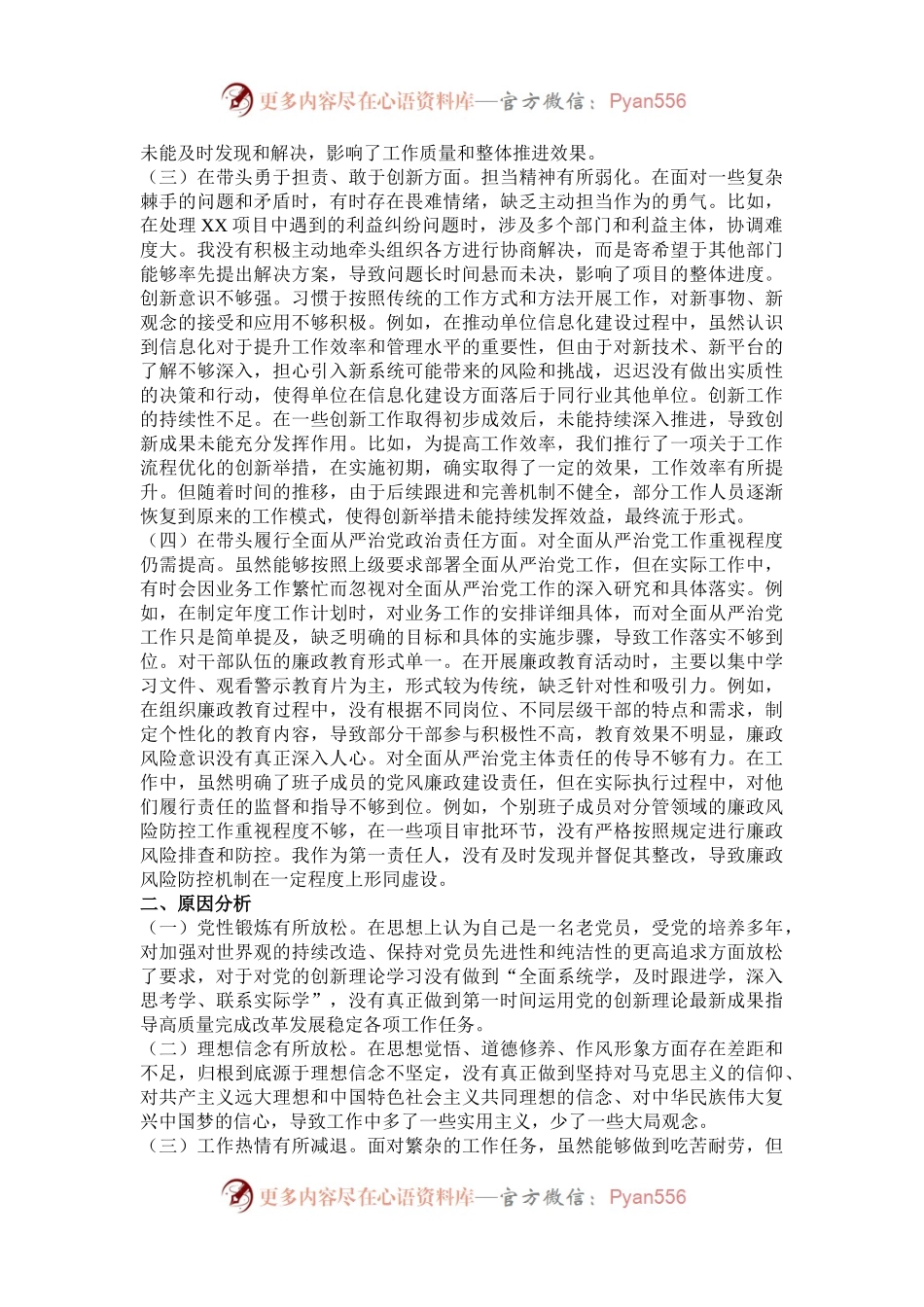 市局党委书记2024年度专题民主生活会对照检查发言提纲（四个带头）.docx_第2页