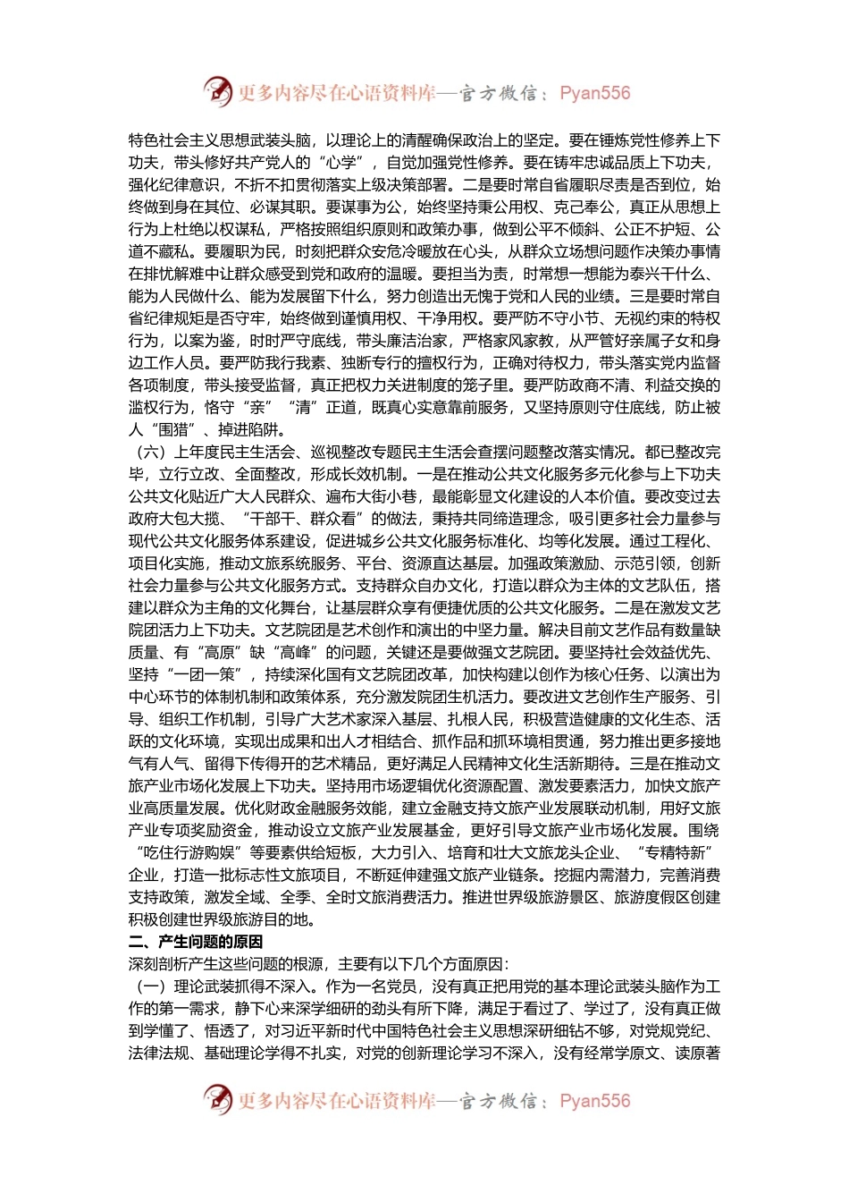 文旅局2024年度民主生活会领导干部对照检查材料.docx_第2页