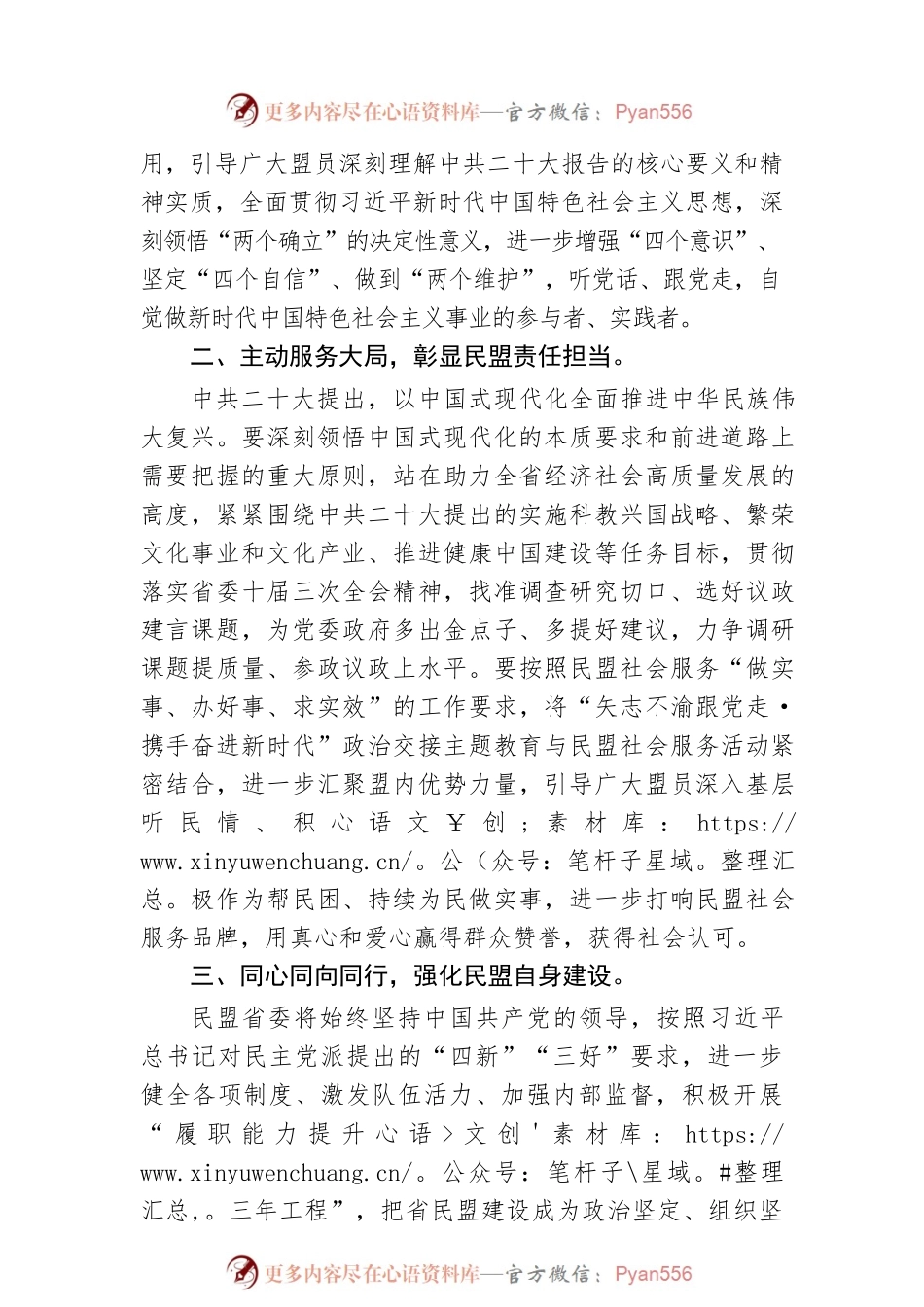 常委代表民革省委发言：坚守合作初心  凝聚奋进力量、自觉肩负起新时代赋予民盟的历史责任（20221109）.docx_第2页