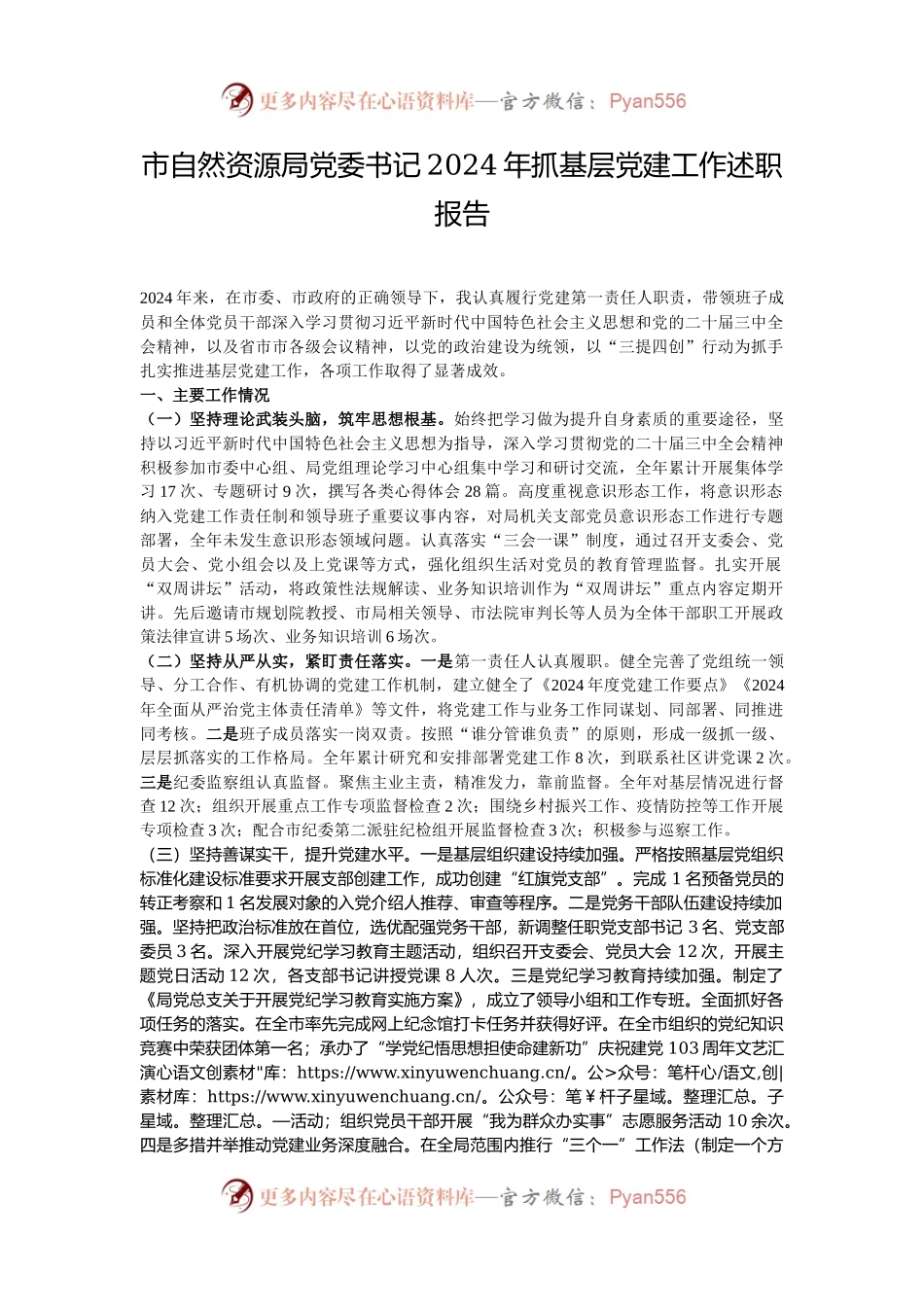 市自然资源局党委书记2024年抓基层党建工作述职报告.docx_第1页