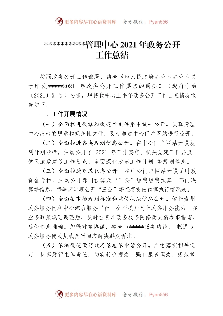 政务公开工作总结.docx_第1页
