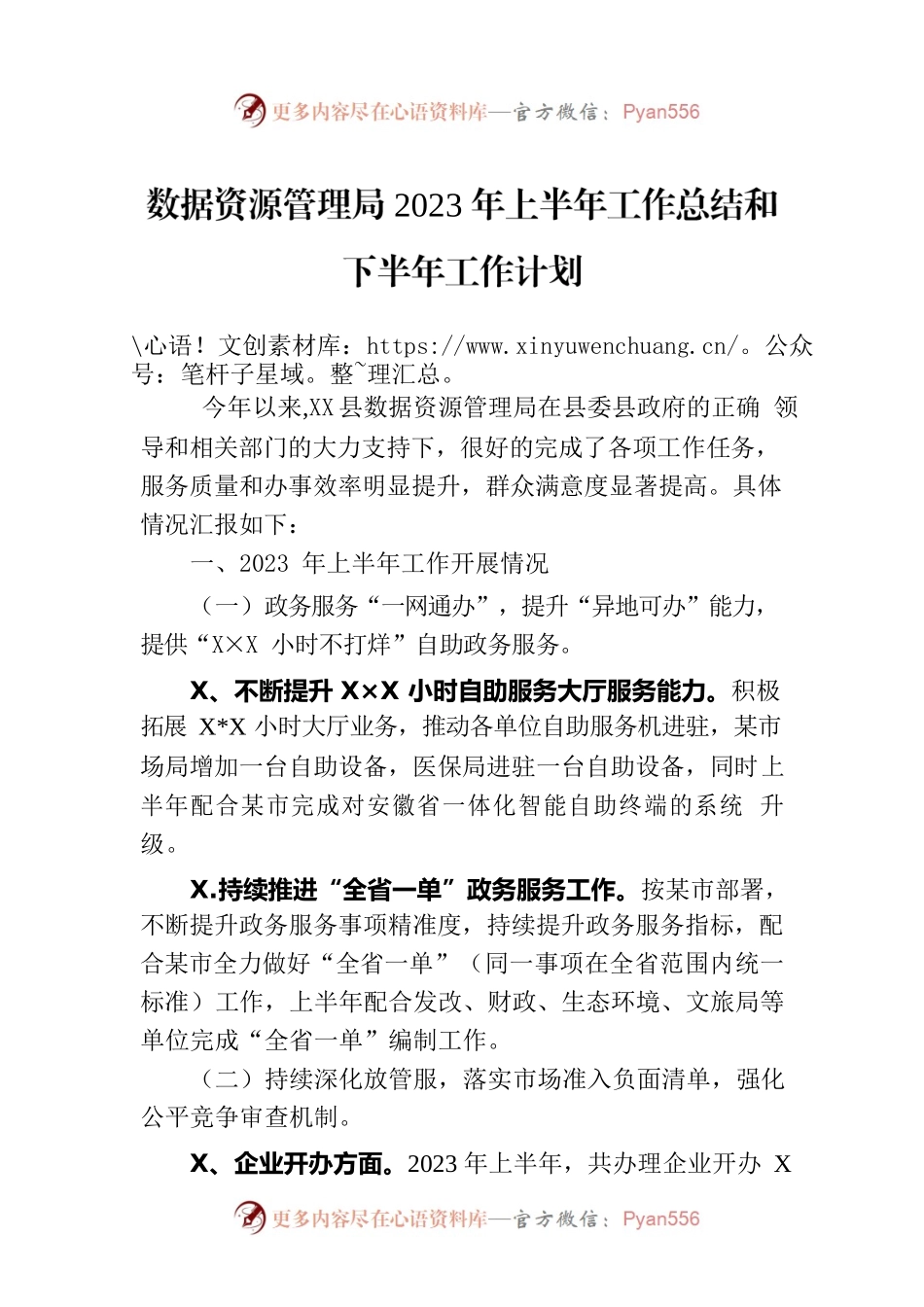 数据资源管理局2023年上半年工作总结和下半年工作计划(20230705).docx_第1页