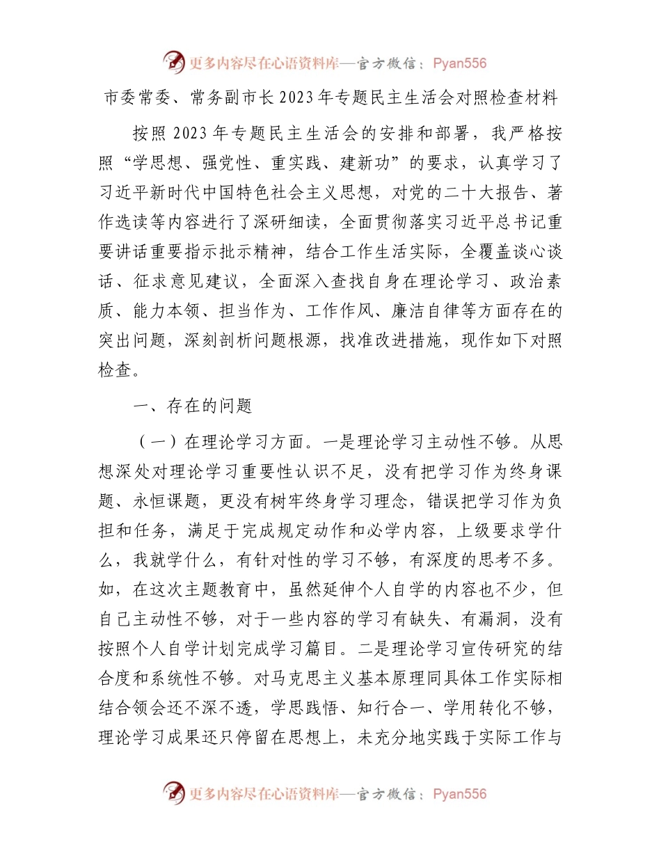 市委常委、常务副市长2023年专题民主生活会对照检查材料.docx_第1页