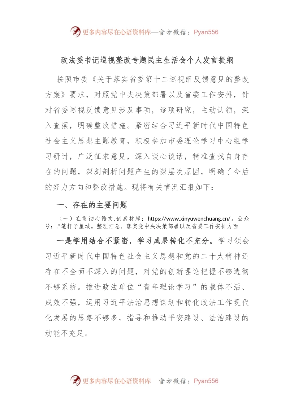 政法委书记巡视整改专题民主生活会个人发言提纲.docx_第1页
