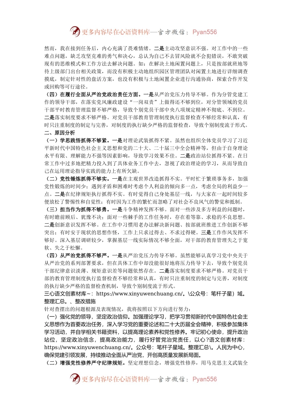 市工业园区党工委2024年民主生活会个人对照检查材料（四个带头）.docx_第2页