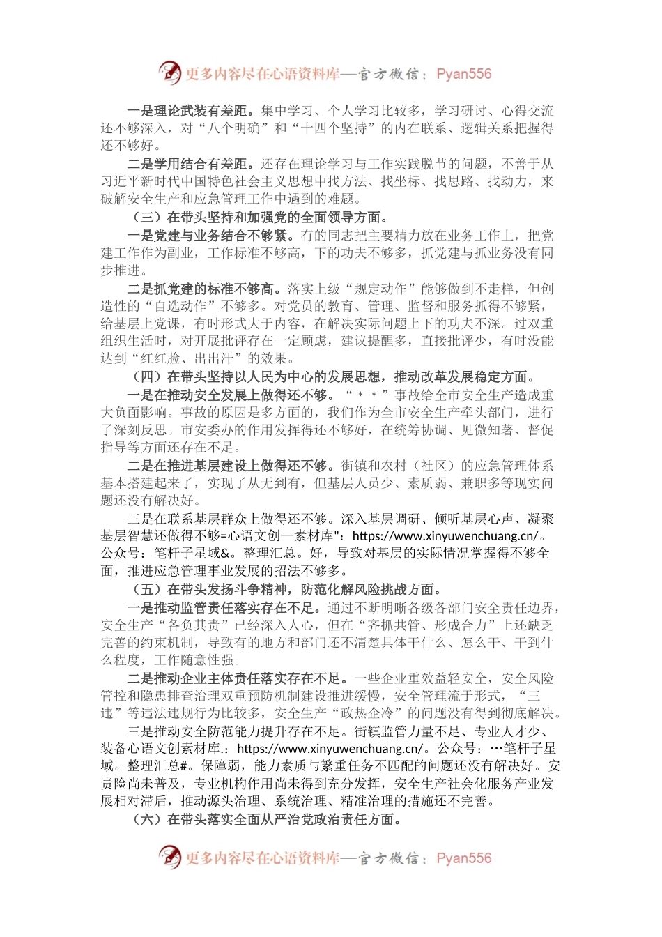 市应急局领导班子2022年度民主生活会对照检查材料.docx_第2页