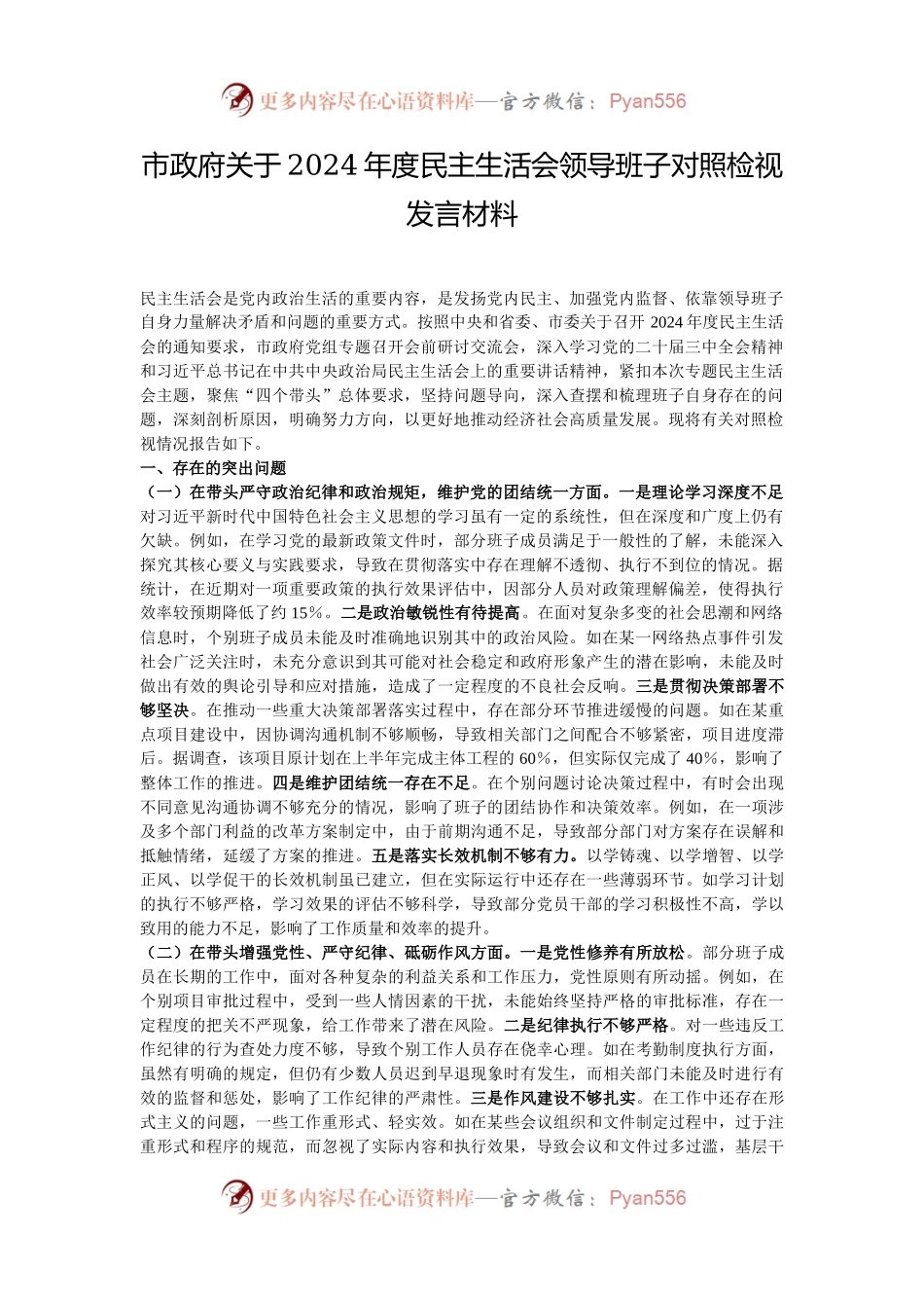 市政府关于2024年度民主生活会领导班子对照检视发言材料.docx_第1页