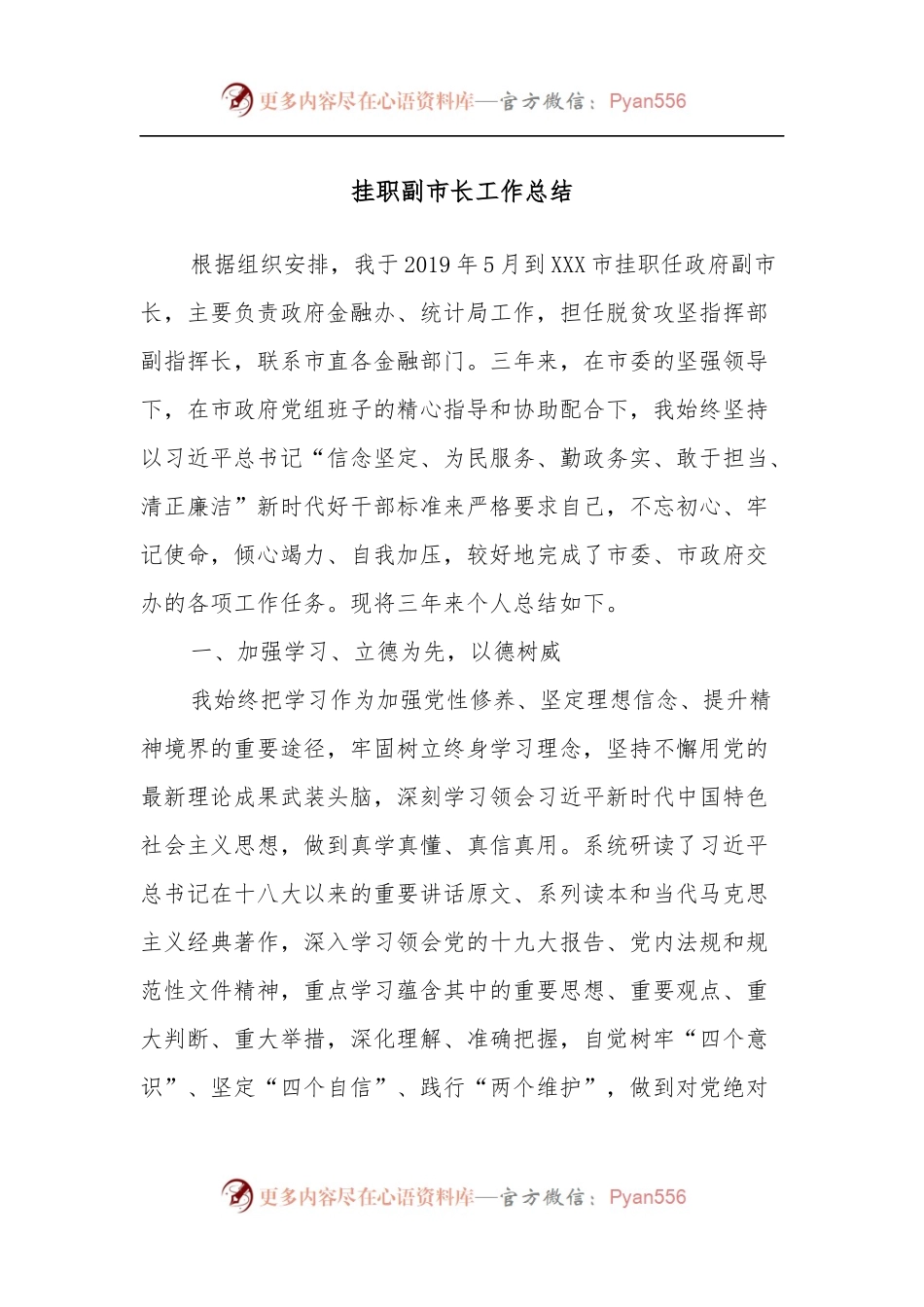 挂职副市长工作总结.docx_第1页