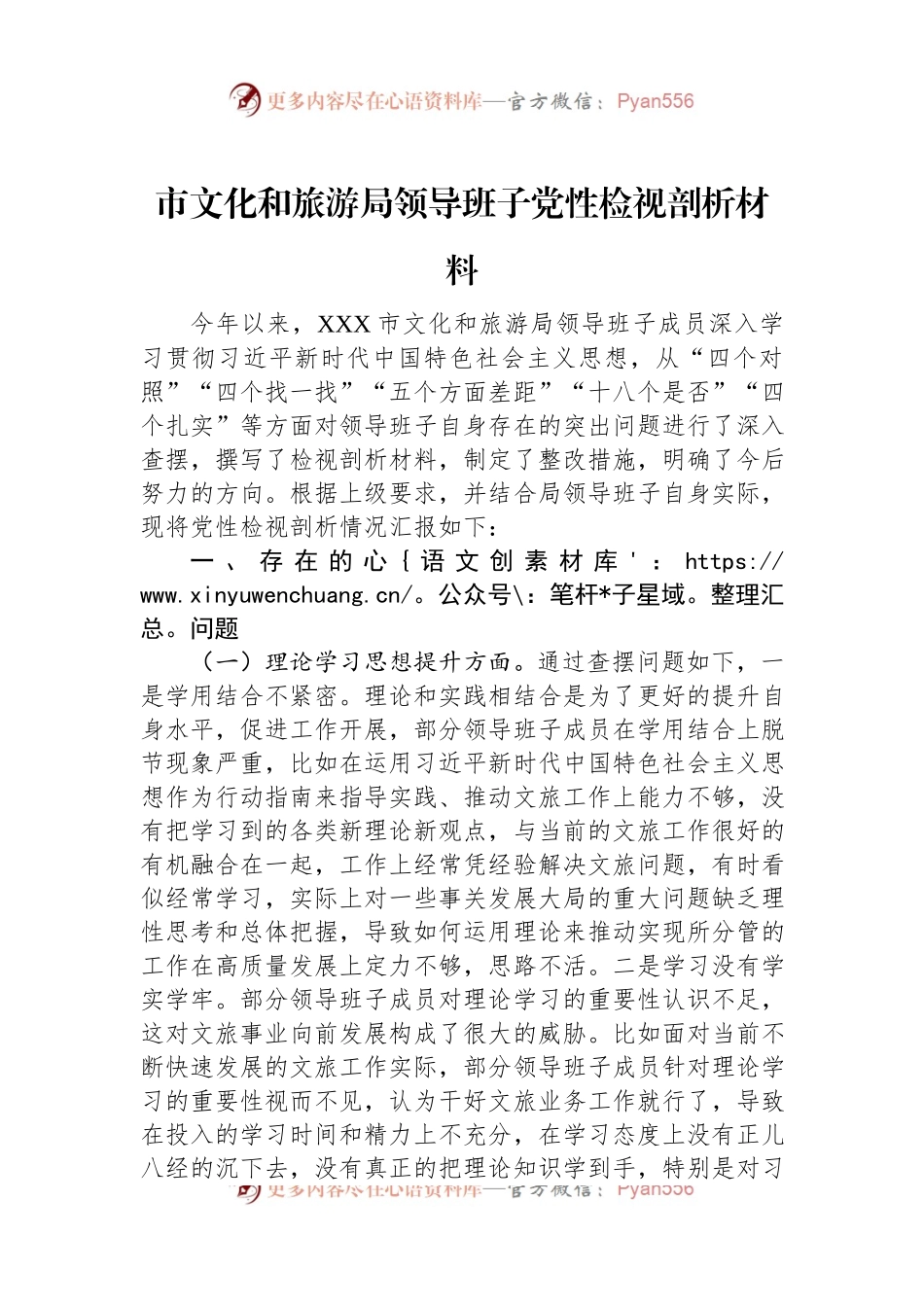 市文化和旅游局领导班子党性检视剖析材料.docx_第1页
