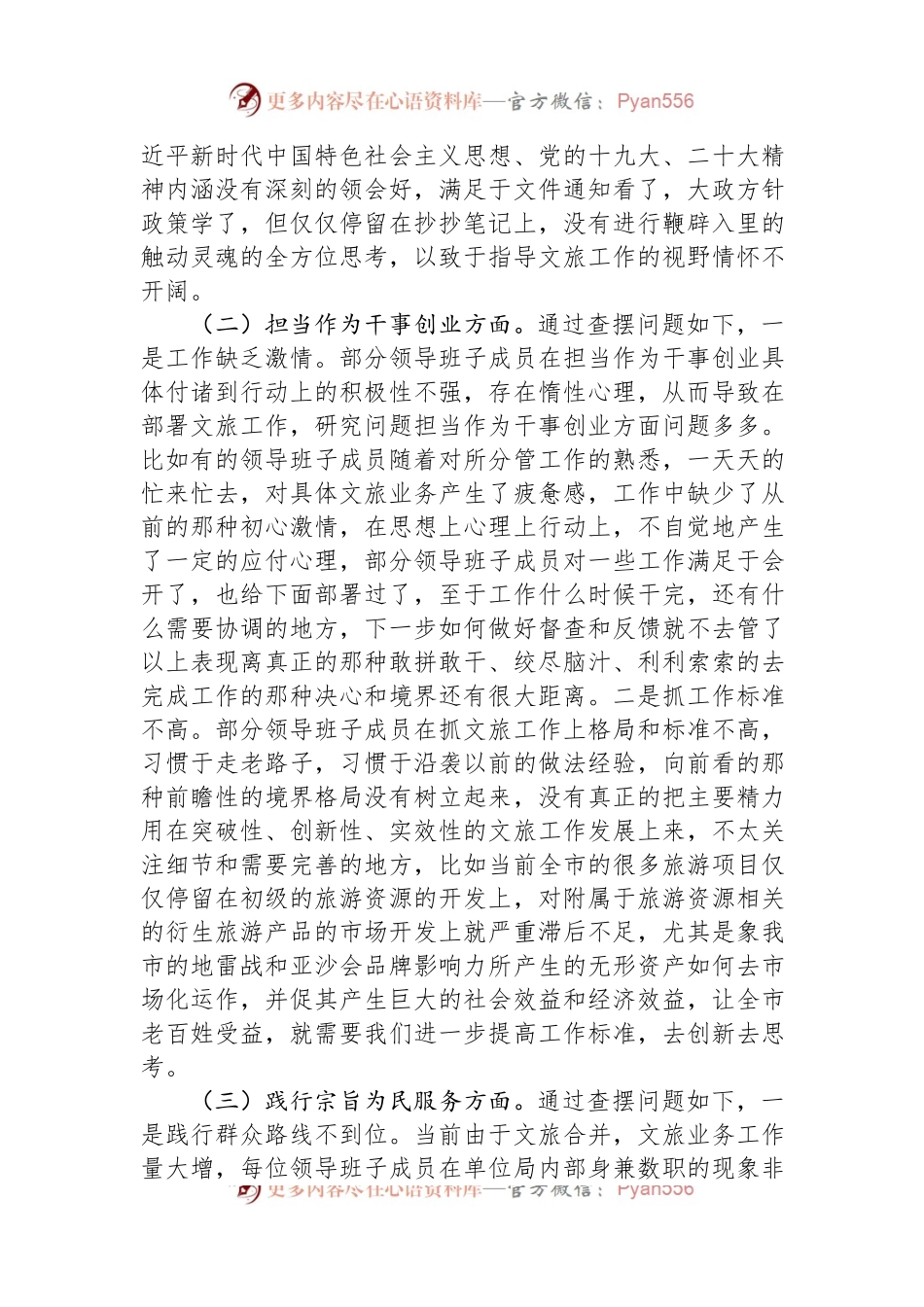 市文化和旅游局领导班子党性检视剖析材料.docx_第2页
