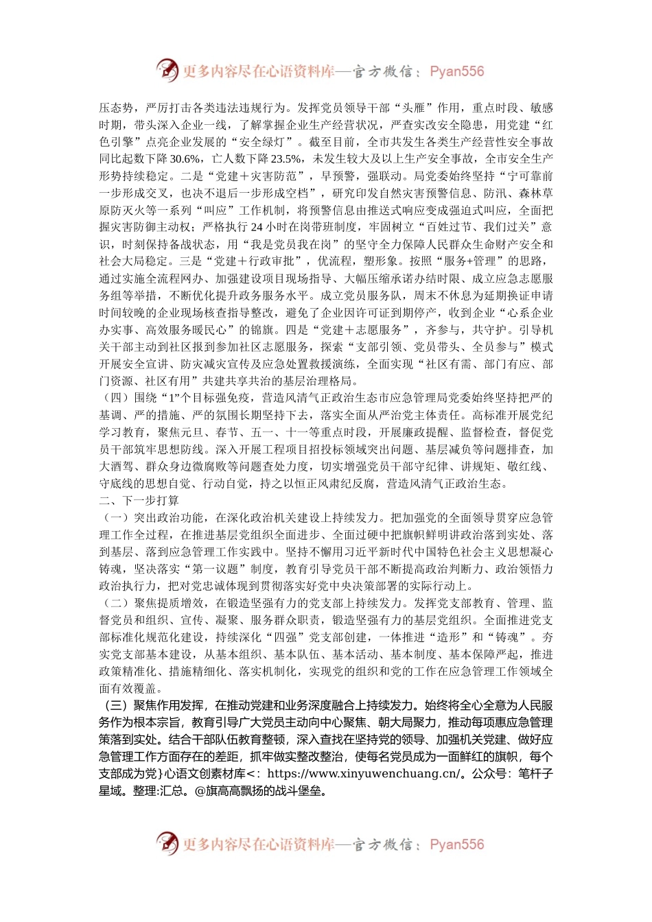 市应急管理局抓基层党建述职.docx_第2页
