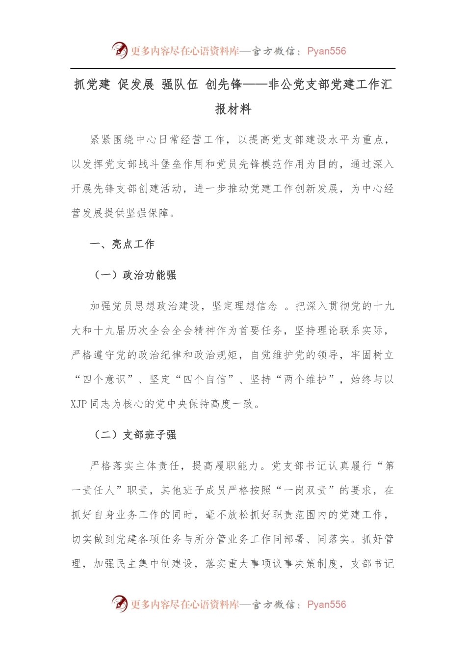 抓党建 促发展 强队伍 创先锋——非公党支部党建工作汇报材料.docx_第1页