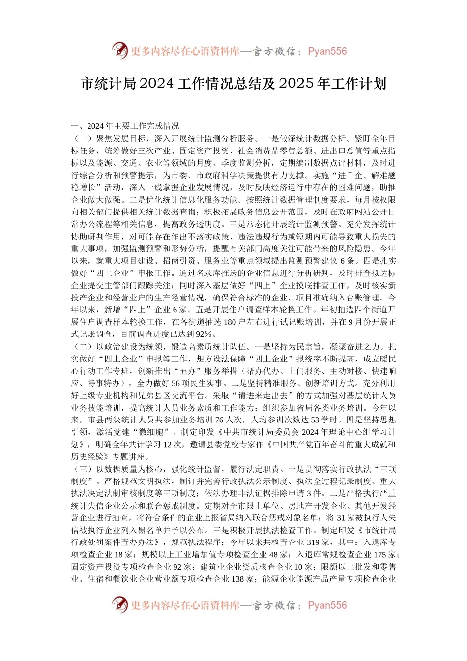 市统计局2024工作情况总结及2025年工作计划.docx_第1页