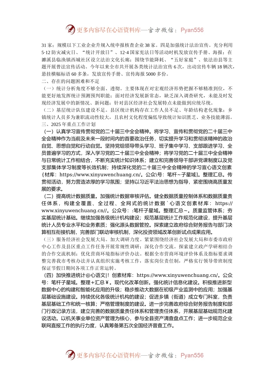 市统计局2024工作情况总结及2025年工作计划.docx_第2页