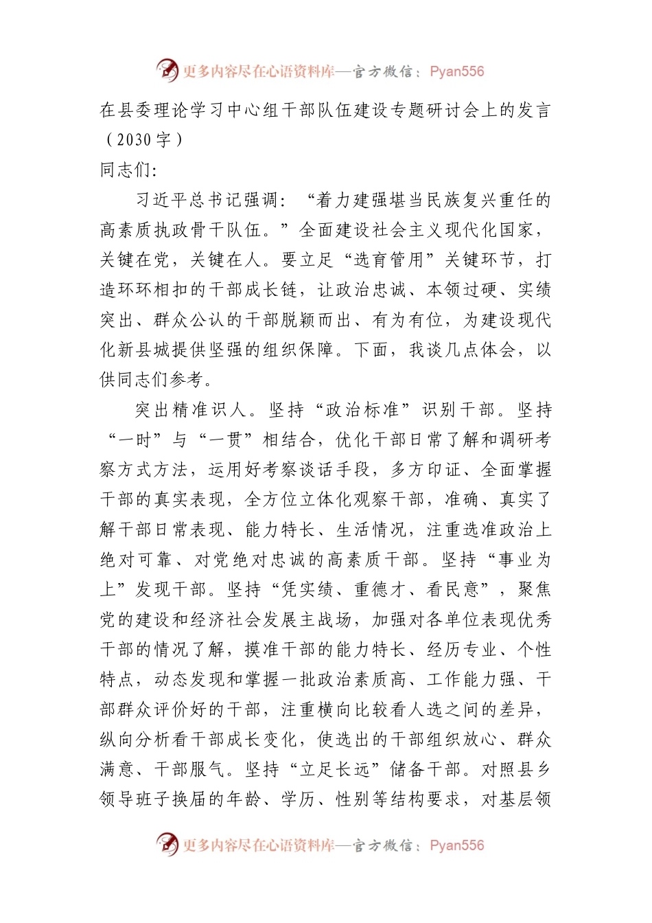 干部队伍建设专题研讨会上的发言.docx_第1页