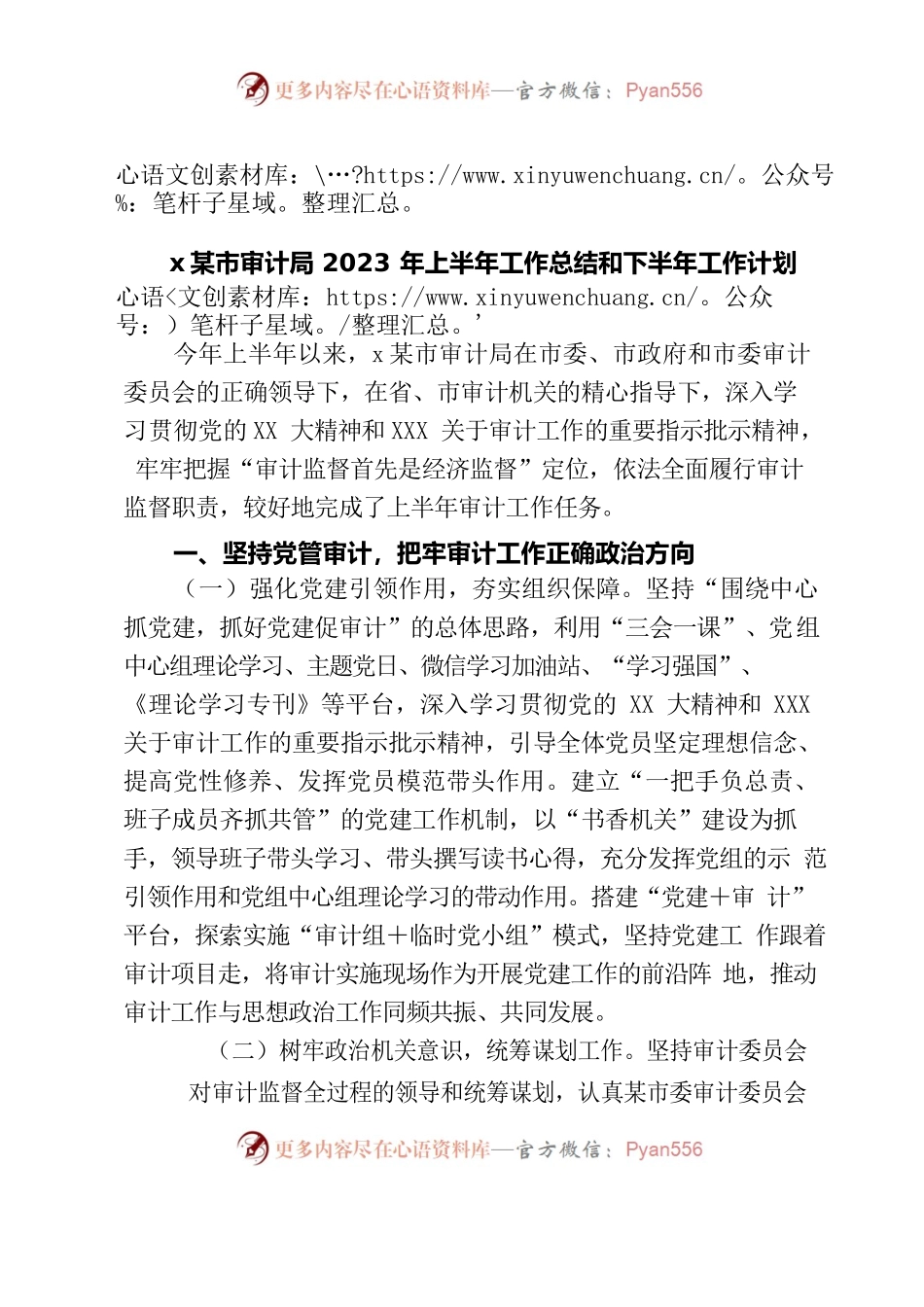 市审计局2023年上半年工作总结和下半年工作计划.docx_第1页