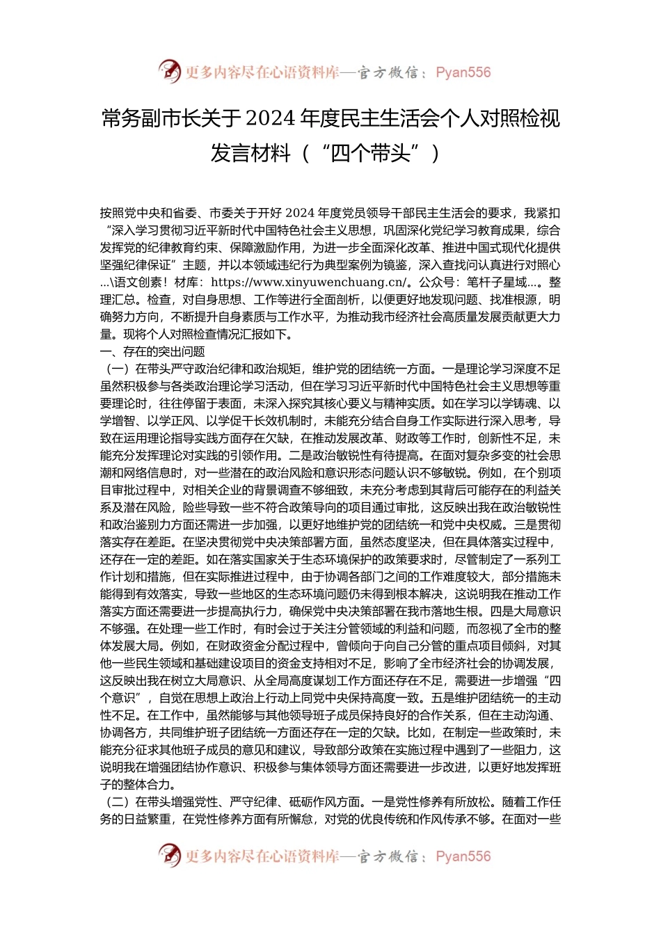 常务副市长关于2024年度民主生活会个人对照检视发言材料（“四个带头”）.docx_第1页