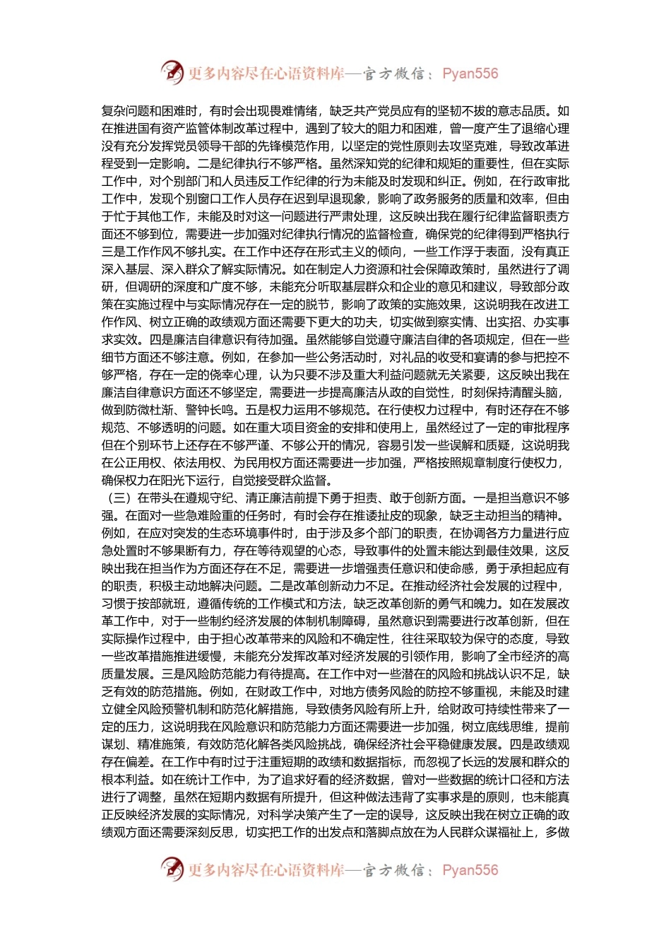 常务副市长关于2024年度民主生活会个人对照检视发言材料（“四个带头”）.docx_第2页