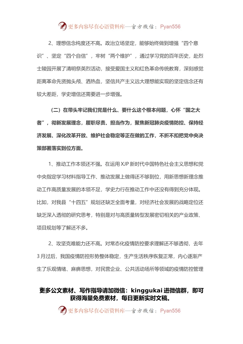 政府领导专题民主生活会五个方面对照检查材料.docx_第2页