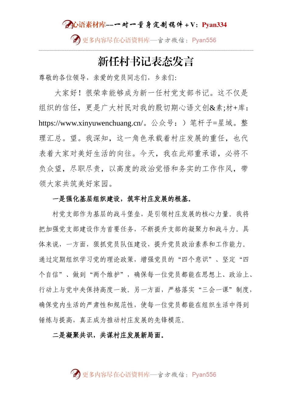 新任村书记表态发言.docx_第1页