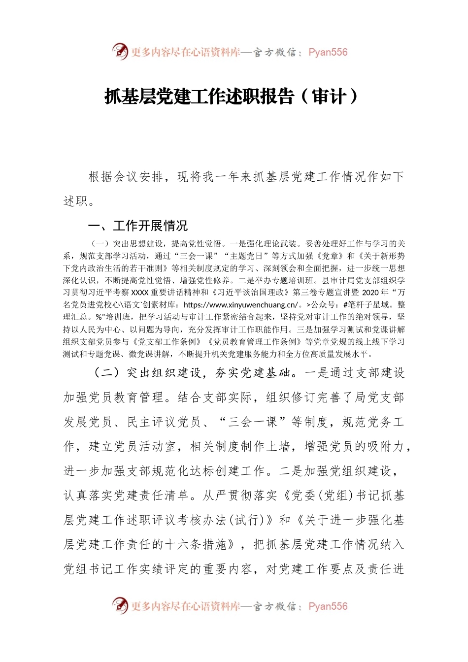 抓基层党建工作述职报告（审计）.docx_第1页
